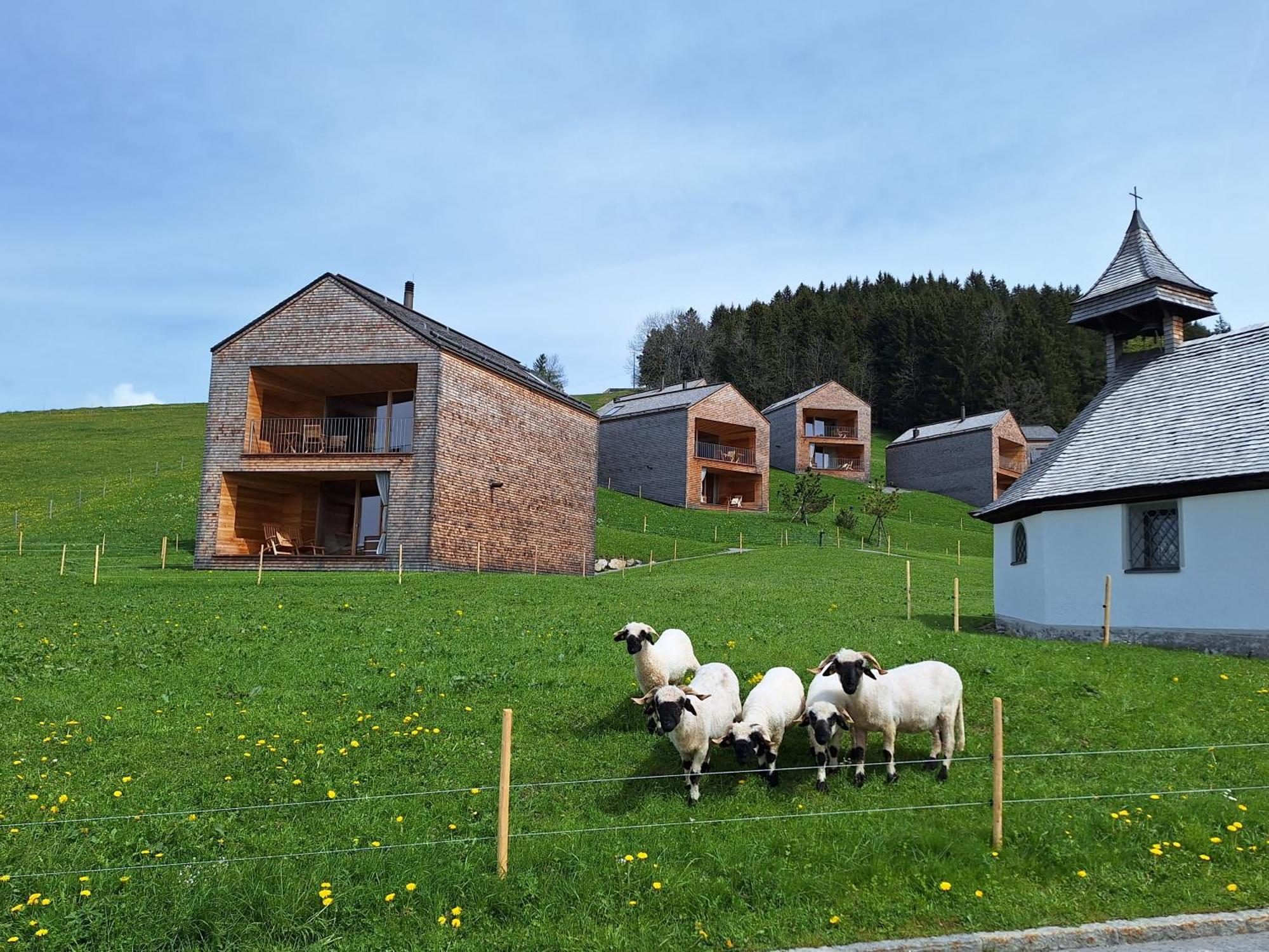 Apartment Rheintal Im Alpenvorland Batschuns Exterior photo