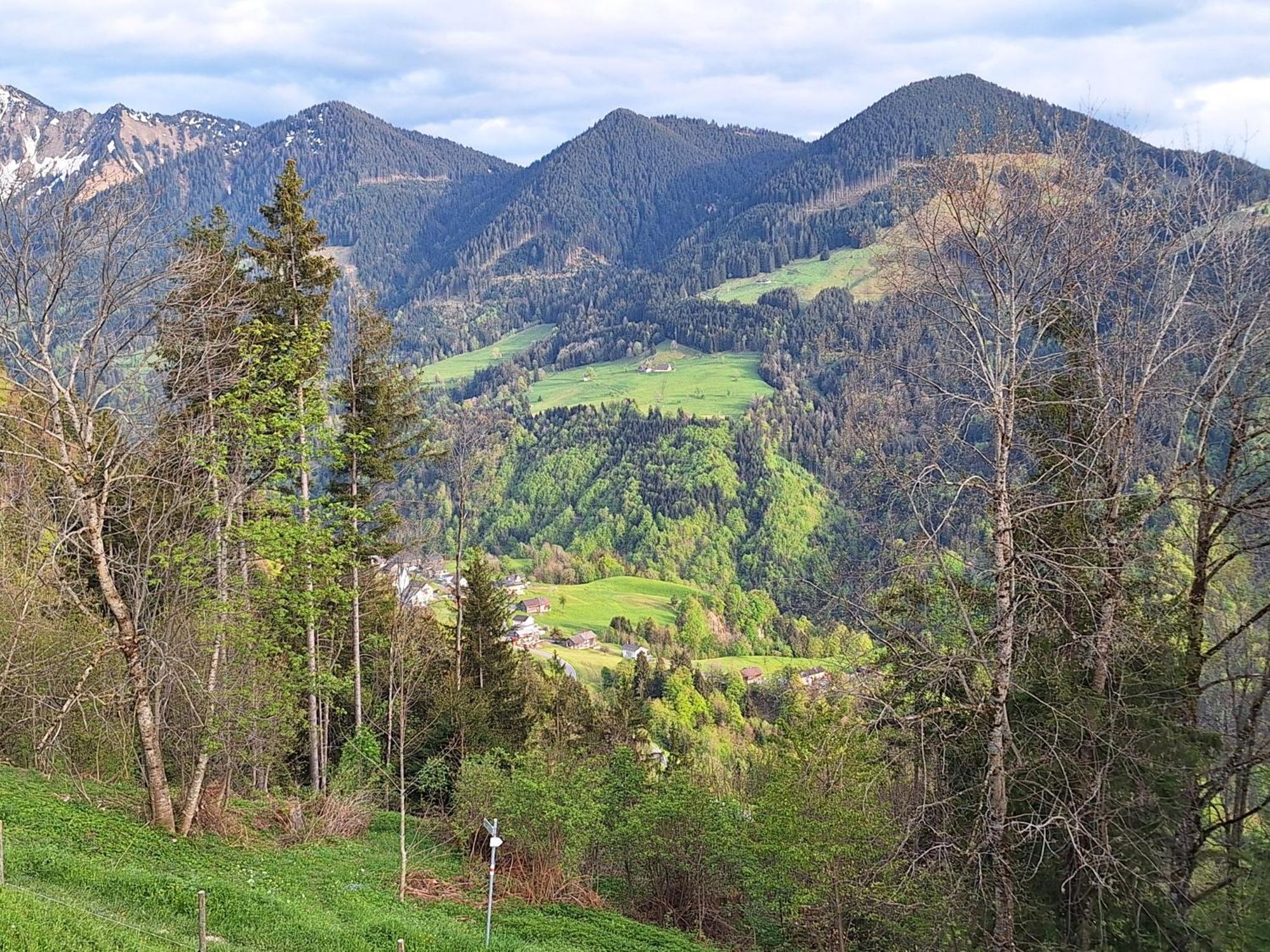 Apartment Rheintal Im Alpenvorland Batschuns Exterior photo