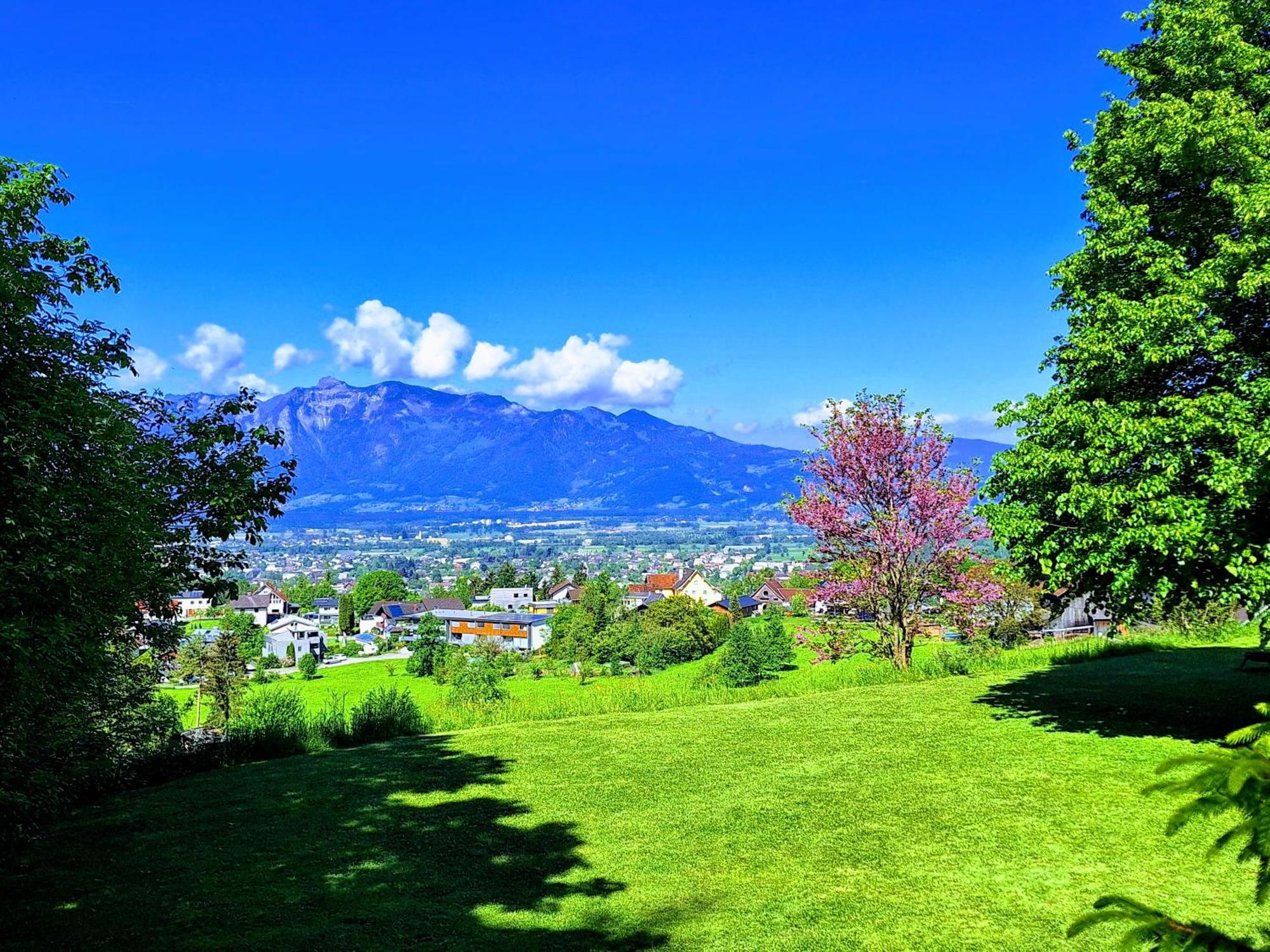 Apartment Rheintal Im Alpenvorland Batschuns Exterior photo